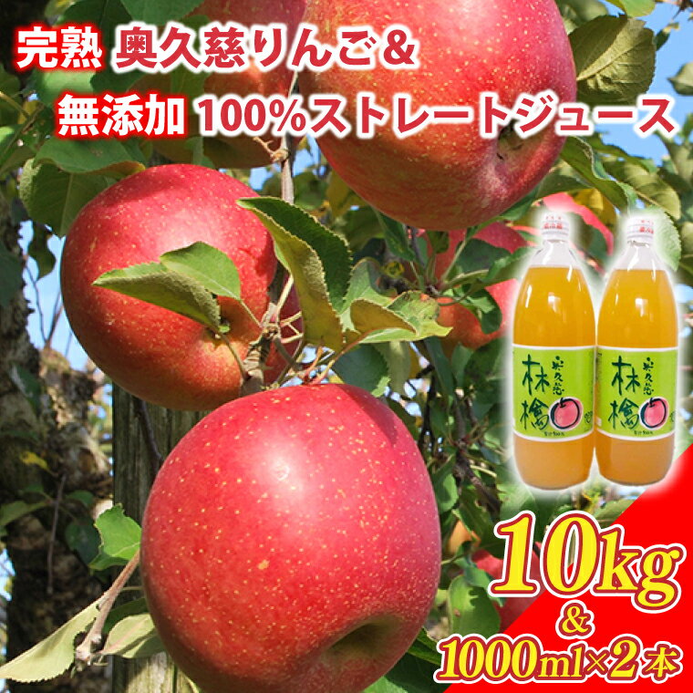 【ふるさと納税】先行予約 奥久慈 りんご 10kg 24～40玉 りんごジュース 100％ リンゴジュース 飲料 無添加 ストレートジュース 樹上完熟 フルーツ ふじ 秋映 陽光 シナノゴールド シナノスイート 秋 旬 お取り寄せ 数量限定 【2026年11月中旬頃順次発送開始予定】(AI005-1)