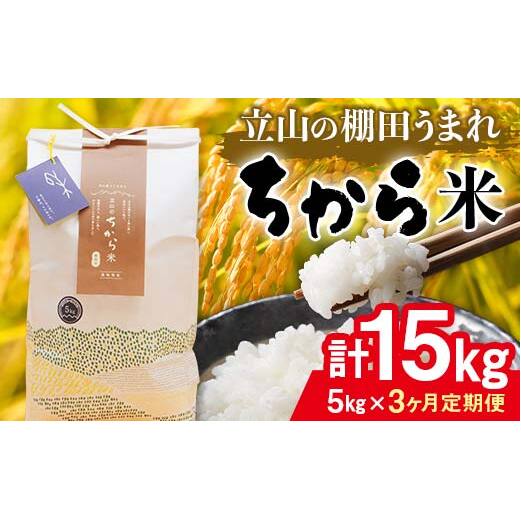 ＜定期便＞立山のちから米 令和7年産 コシヒカリ 各5kg ＜全3回＞ 計15kg 3ヶ月連続 5kg 定期便 定期配送 ちから米 こしひかり 銘柄米 ブランド米 国産 米 お米 日本米 ギフト F6