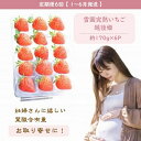 【ふるさと納税】定期便 6回【1～6月発送】雪国完熟越後姫 170g×6全6回 定期配送 越後姫 いちご 定期便 完熟 苺 新潟 上越　定期便　お届け：1月～6月の月1回お届けいたします。