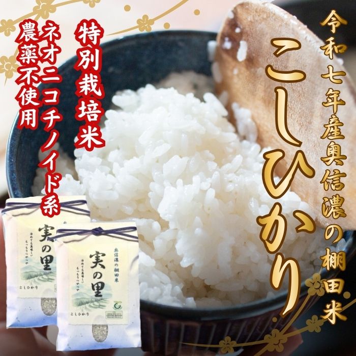 【ふるさと納税】令和7年産 ＼特別栽培米／ コシヒカリ 選べる 白米 | 玄米 選べる数量 2kg | 5kg | 10kg 奥信濃の棚田米 実の里 【 長野県 飯山市 信州 美味しい お米 新米 精米 ごはん ご飯 こしひかり みのり 】7-18