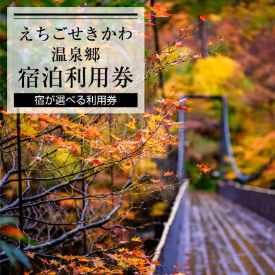 【ふるさと納税】選ばれる温泉体験 9000円分の温泉宿泊利用券【1278599】