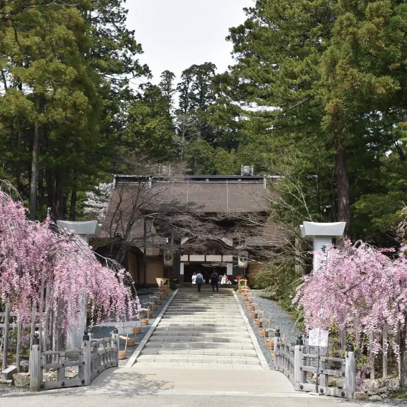 ＜世界遺産高野山＞ 宿坊 宿泊割引チケット 3,000円分