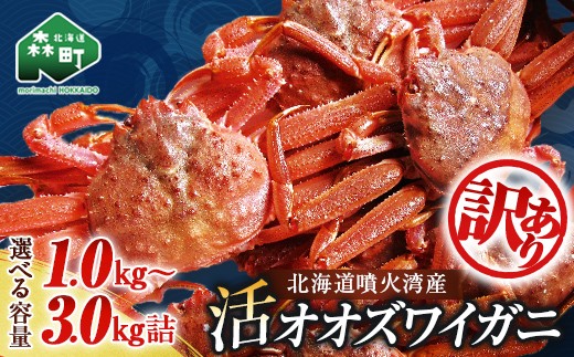 
                  《選べる容量》【訳あり】北海道噴火湾産 活オオズワイガニ 1kg / 1.5kg/ 3kg ＜道産ネットミツハシ＞ かに カニ 蟹 ガニ がに 森町 ふるさと納税 北海道 ずわいがに mr1-1339var
                