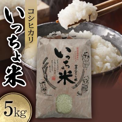 ふるさと納税 美作市 コシヒカリ　いっちょ米(5kg×1袋)