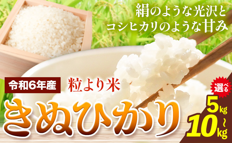 
            令和6年産 粒より米 きぬひかり 選べる 5kg 10kg JA紀州 さわやか日高《90日以内に出荷予定(土日祝除く)》 和歌山県 日高川町 米 こめ コメ きぬひかり キヌヒカリ 送料無料 精米
          