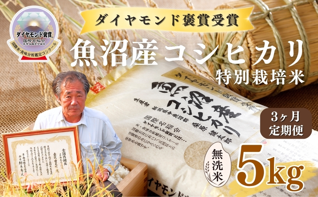 
                  【令和8年産先行予約】【3ヶ月定期便】魚沼産コシヒカリ 無洗米 5kg(5kg×1袋) 特別栽培米 ダイヤモンド褒賞受賞 | 新潟産コシヒカリ 新潟県産コシヒカリ 魚沼産こしひかり 米 お米 こしひかり 白米 無洗米 ブランド米 最高級 新潟県 津南町
                