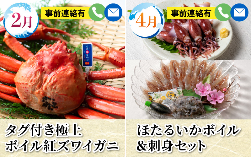 【数量限定】富山湾の恵がつまった カネツル旬の定期便（ホタルイカ、紅ズワイガニ、えび、ぶり、国産うなぎ）