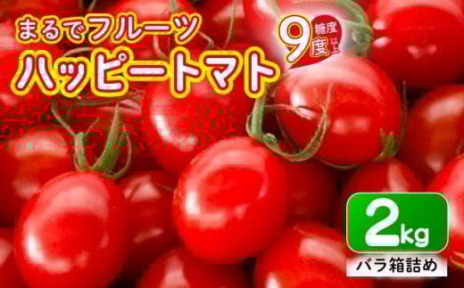 【先行予約】ハッピートマト2㎏