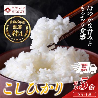 ふるさと納税 小山町 【令和8年産】 米　コシヒカリ　5合　精米　静岡県産　特A　小分け　高評価　【先行予約】　