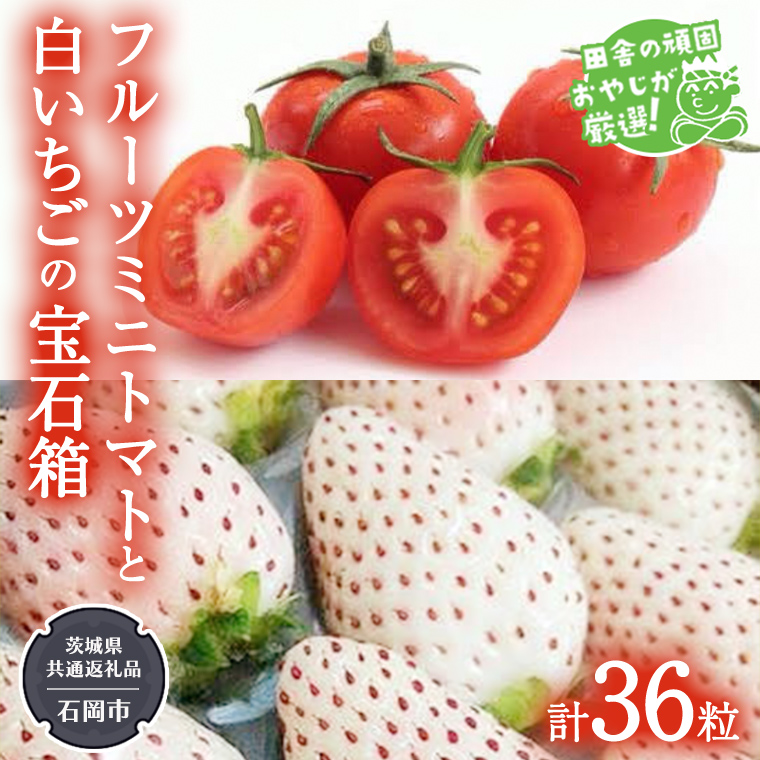 白いちご と フルーツミニトマトの宝石箱 36粒【1月から発送開始】（茨城県共通返礼品 [いちご]：石岡市産　[トマト]：つくばみらい市産） 詰め合わせ 果物 フルーツ 茨城県産 [BI469-NT]