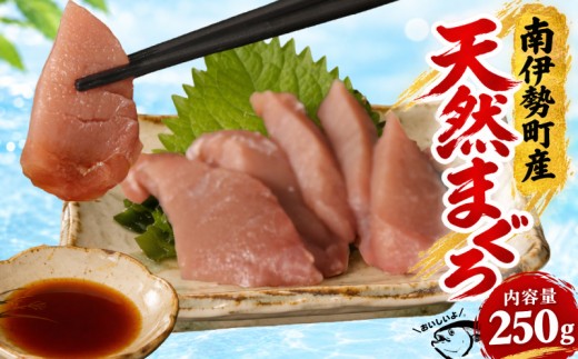 国産 天然 マグロ 柵 250g / 南伊勢 海鮮 魚 マグロ 鮮魚 冷凍 寿司 キハダマグロ 赤身 伊勢 志摩 南伊勢 城水産 5000円 五千円以下 刺身