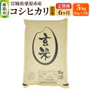 【ふるさと納税】《定期便6ヶ月》【令和6年産・玄米】宮城県栗原産 コシヒカリ 毎月5kg (5kg×1袋)×6ヶ月