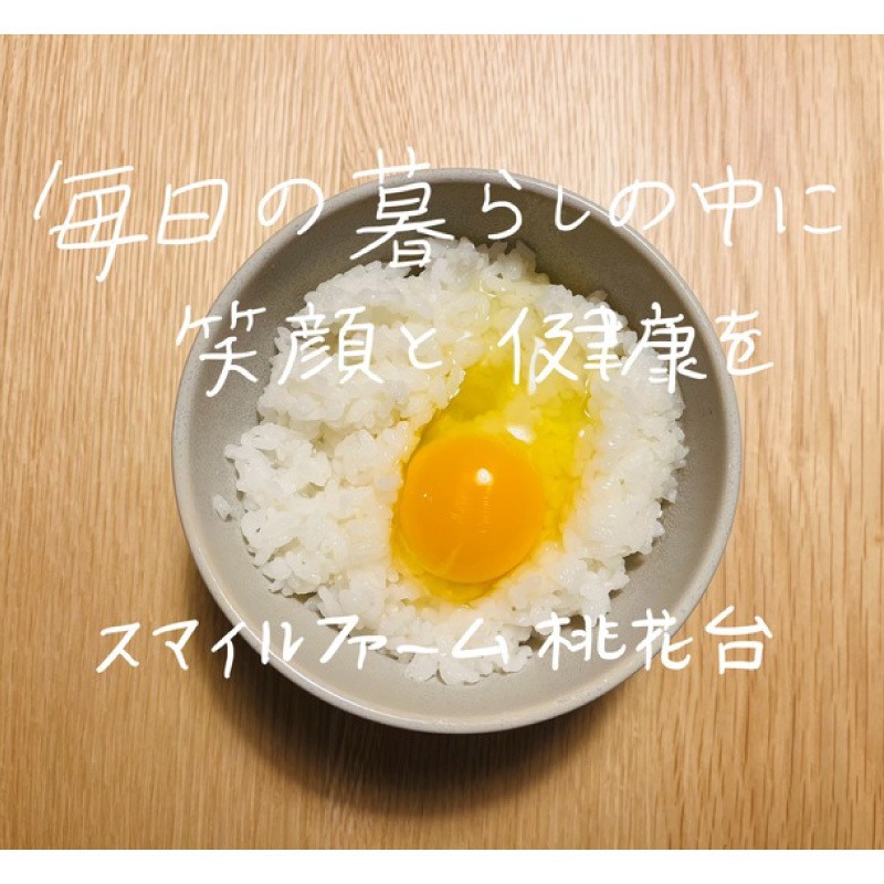 【医師監修】野菜を食べて育った平飼いの卵「名古屋コーチン ベジたま」（30個入り）［154T01］