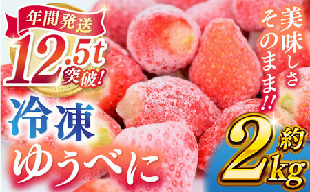 冷凍 いちご ゆうべに 約2kg【熊本ベリー】[ZER014]