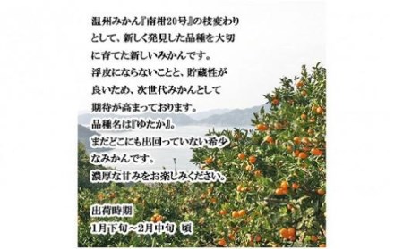 【2026年1月上旬から発送予定】希望の島 温州みかん 新品種『ゆたか』 3kg 愛媛県産 みかん 柑橘【FT028_x】