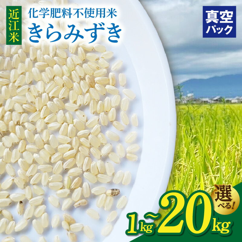 【ふるさと納税】先行予約【9月お届け】 近江米 きらみずき 選べる 容量 1キロ ～ 20キロ 真空梱包 令和7年 新米 こだわり みずみずしい 大粒 食感 甘さ 広がる ツヤ ふっくら 環境 米 お米 長期保存 備蓄用 お取り寄せ 滋賀県 守山市 送料無料