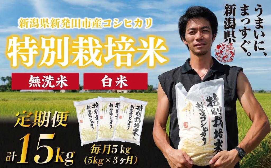 
                  【令和7年産定期便3ヵ月】 定期便 コシヒカリ 無洗米 白米 玄米 5kg 3ヵ月 15kg 令和7年産 特別栽培米 こしひかり 米 お米 こめ 新潟米 新潟県産 新潟産 新潟 新潟県 新発田産 新発田 新発田市 斗伸 toushin041P
                