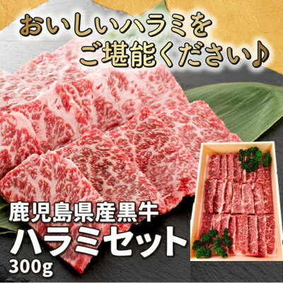 【ふるさと納税】鹿児島県産黒毛和牛ハラミ300g【配送不可地域：離島】【1185809】