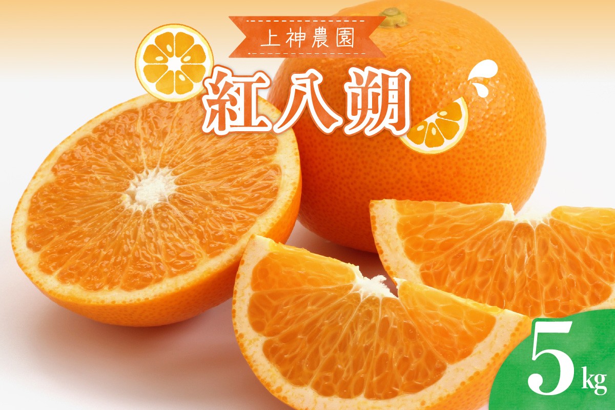 
                  【先行受付】【2027年3月上旬～発送】上神農園の紅八朔 約5kg 直送 産地直送 広島県呉市 呉市 柑橘類 みかん ミカン 柑橘 ku011-045-26
                