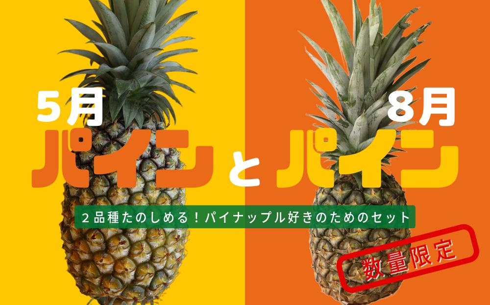 
パイン＆パインセット　沖縄県産パイナップル２種＜5月ゴールドバレル・８月Nパイン＞　
