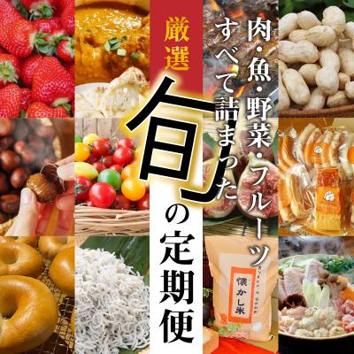 ふるさと納税 碧南市 【全12回】厳選!肉・魚・野菜・フルーツすべて詰まった旬の定期便(毎月お届け)H028-088