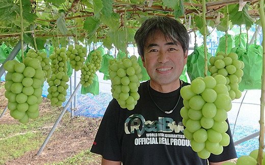 No.2506くるま農園　シャインマスカット　約2kg(3～5房)【2025年発送】