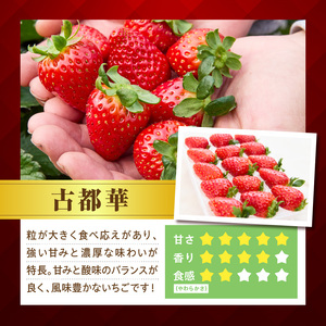 古都華とならあかりの食べ比べセット　1パック×2(1パック15粒) 化粧箱 国産 国産苺 ストロベリー 果物 果実的野菜 フルーツ デザート おやつ 糖度 濃厚 香り 鮮やか 甘い ビタミン 奈良県産