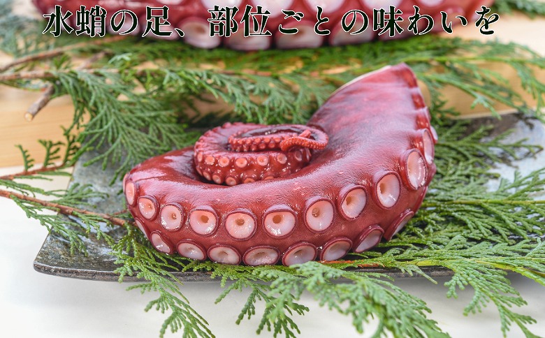 【北海道根室産】ボイル水たこ足先2P(計600g) G-20003
