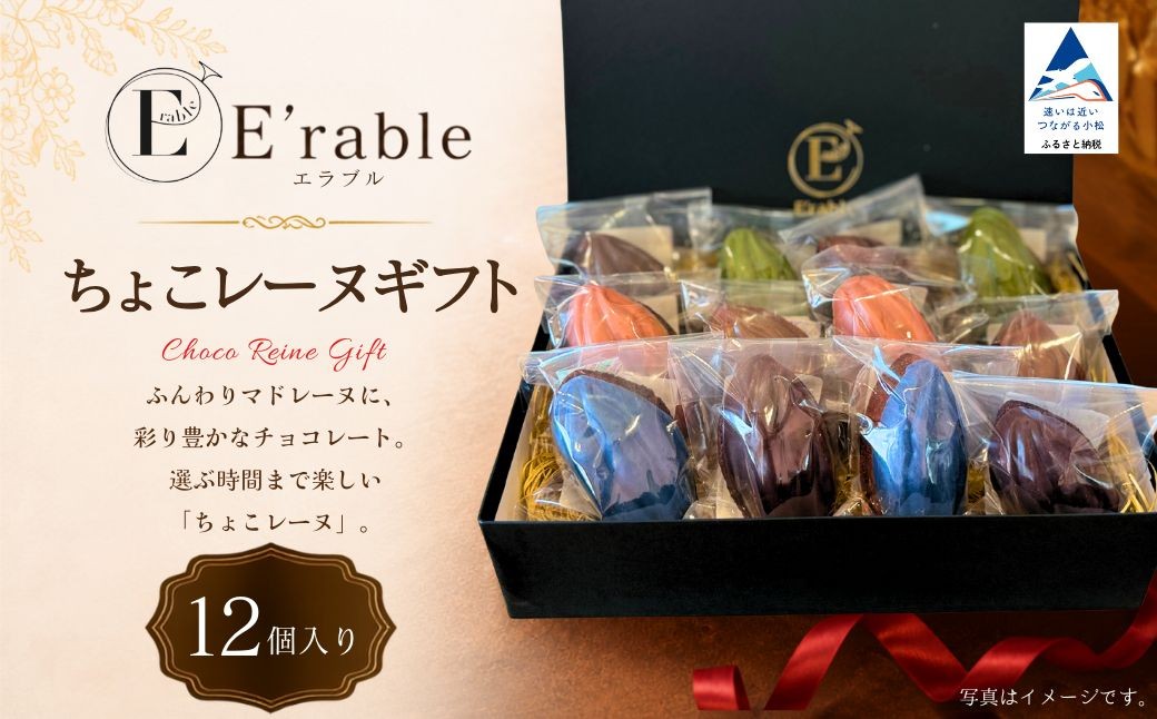 
                  ちょこレーヌギフト 12個入り マドレーヌ チョコ チョコレート ショコラ スイーツ まどれーぬ マドレーヌ セット 詰め合わせ 食べ比べ 詰合せ 贈答 プレゼント | 石川県 小松市 エラブル 【E'rable ショコラトリー パティスリー】
                