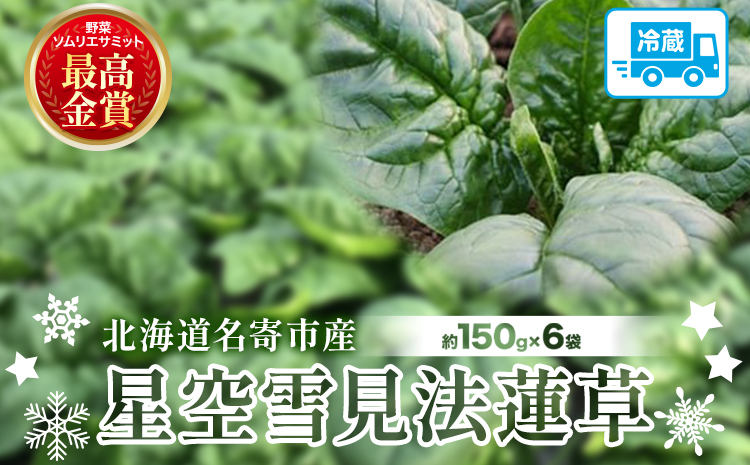 北海道名寄産 星空雪見法蓮草《2027年1月中旬-2月上旬頃出荷》名寄産 星空雪見 法蓮草 星空 雪見 法蓮草 ほうれん草 北海道 名寄市 野菜 ホウレンソウ 野菜ソムリエ やさい ---nayoro
