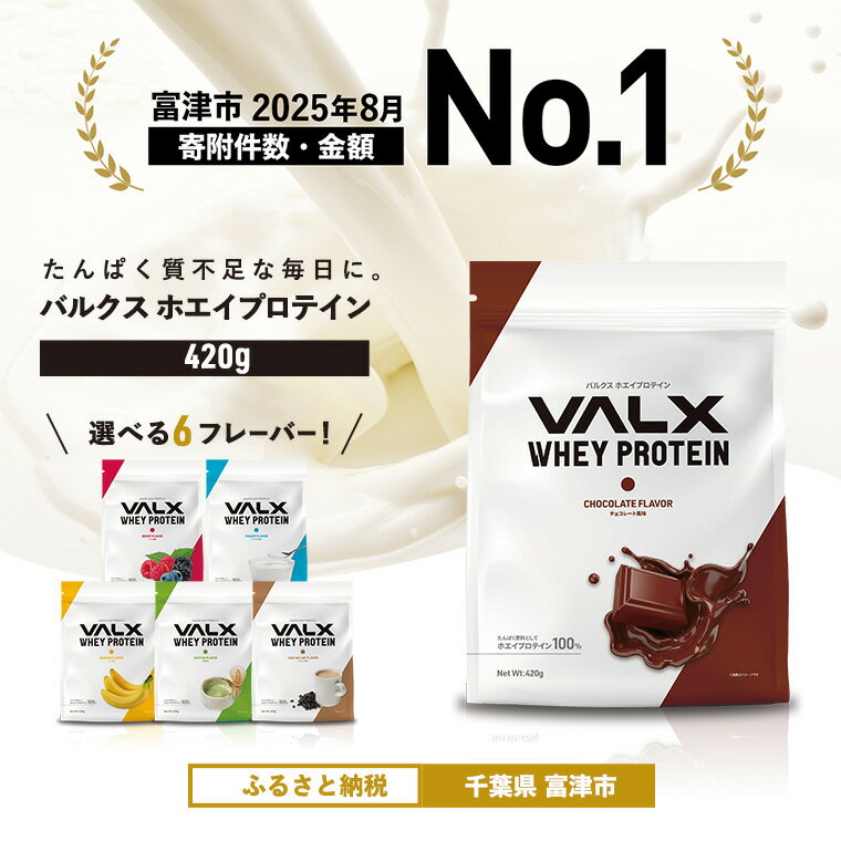 【ふるさと納税】プロテイン VALX ホエイプロテイン バルクス ホエイ 420g 個包装 フレーバー 人気 国産 筋トレ トレーニング フィットネス 美容 健康 チョコレート ベリー ヨーグルト カフェオレ プロテイン 女性 プロテイン