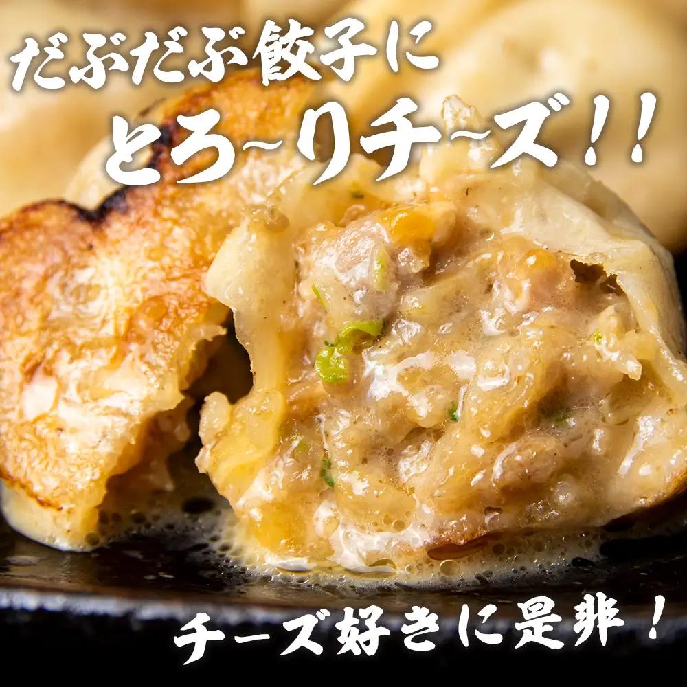 だぶだぶの肉汁をすすりたくなる餃子 食べ比べセット 40個（プレーン・チーズ 各20個） BE016