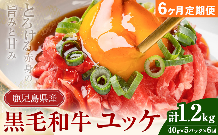 【連続6ヶ月定期便】鹿児島県産黒毛和牛ユッケ 計1.2kg 40g×5パック×6回 LRプラスK《お申し込みの翌月から出荷》鹿児島県 さつま町 鹿児島県産 黒毛和牛 ユッケ 生食用 小分け タレ付き 定期便