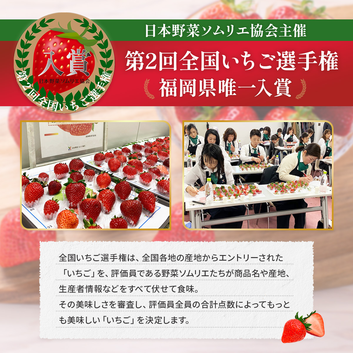 暖家のいちご　完熟あまおう　贈答用4パック　AB002