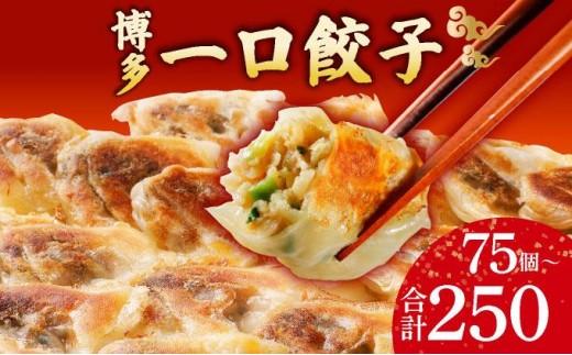 
                  ＜選べる容量＞冷凍 博多一口餃子 25個入り 3～10パック
                