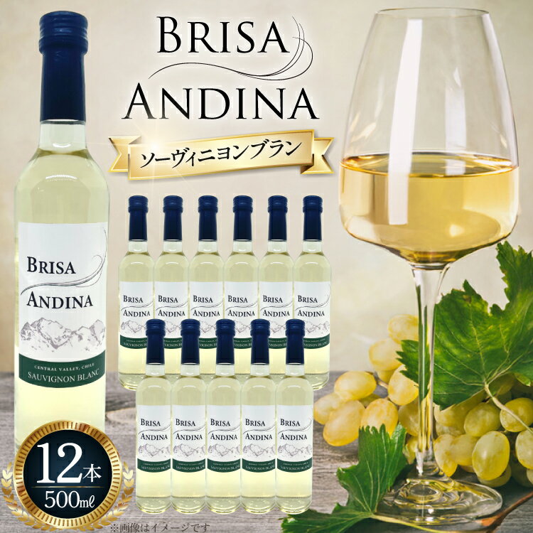 【ふるさと納税】ワイン 白 ブリサ・アンディーナ ソーヴィニヨンブラン 500ml 12本 セット [カサ・ピノ・ジャパン 山梨県 韮崎市 20745345] ワインセット 山梨 酒 お酒 白ワイン アルコール ぶどう 果実酒