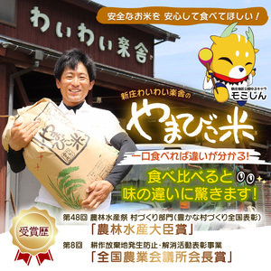 米 令和5年産 コシヒカリ 計20kg（10kg × 2袋）新庄やまびこ米（白米） [m23-c001]