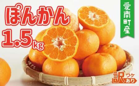 【先行予約：2027年1月初旬～】お試し用 訳あり ポンカン 1.5kg＋傷み保障500g 5000円 みかん mikan 蜜柑 ミカン ぽんかん 産地直送 国産 農家直送 糖度 期間限定 数量限定 特産品 ゼリー ジュース アイス 等に 人気 限定 甘い フルーツ 果物 柑橘 美味しい おいしい ジューシー 小玉 含む 規格外 サイズ ミックス 傷み補償 500g ミッチーのおみかん畑 愛南町 愛媛県