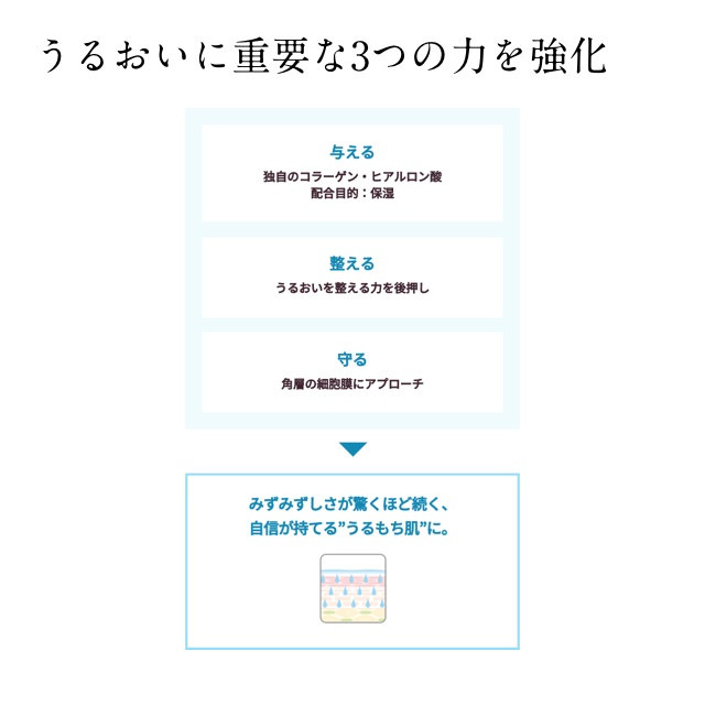 再春館製薬所 ドモホルンリンクル 基礎 セット