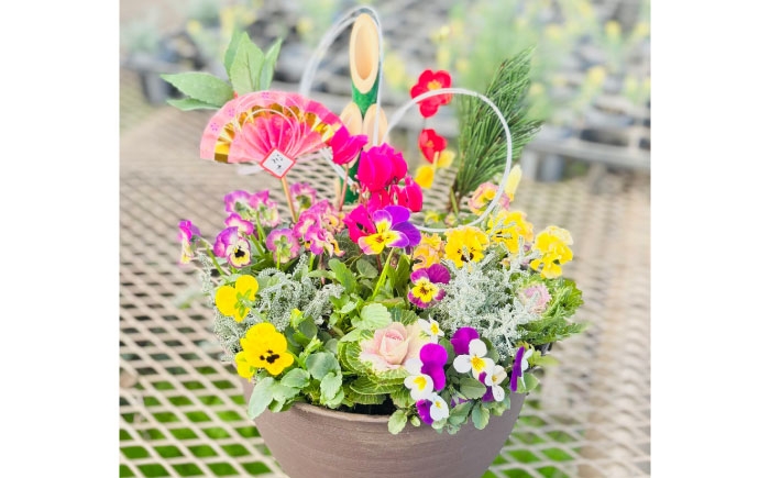 
            新年を華やかに彩る お正月の寄せ植え(おまかせ) / 正月飾り 花苗 鉢 ピック【GreenlifeYoshimura】 [BHBG001]
          