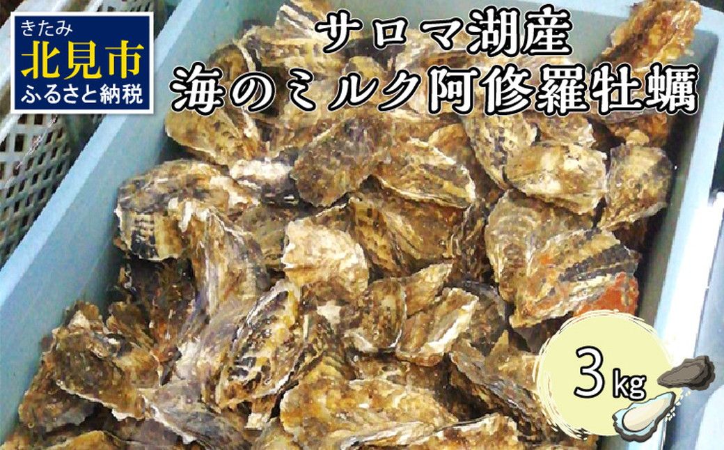 【予約：2025年10月中旬から順次発送】サロマ湖産 海のミルク 阿修羅牡蠣 3kg ( 期間限定 新鮮 生食 生ガキ カキ かき 3キロ 道産 オホーツク海産 海鮮 魚介類 貝類 生 )【031-0004-2025】