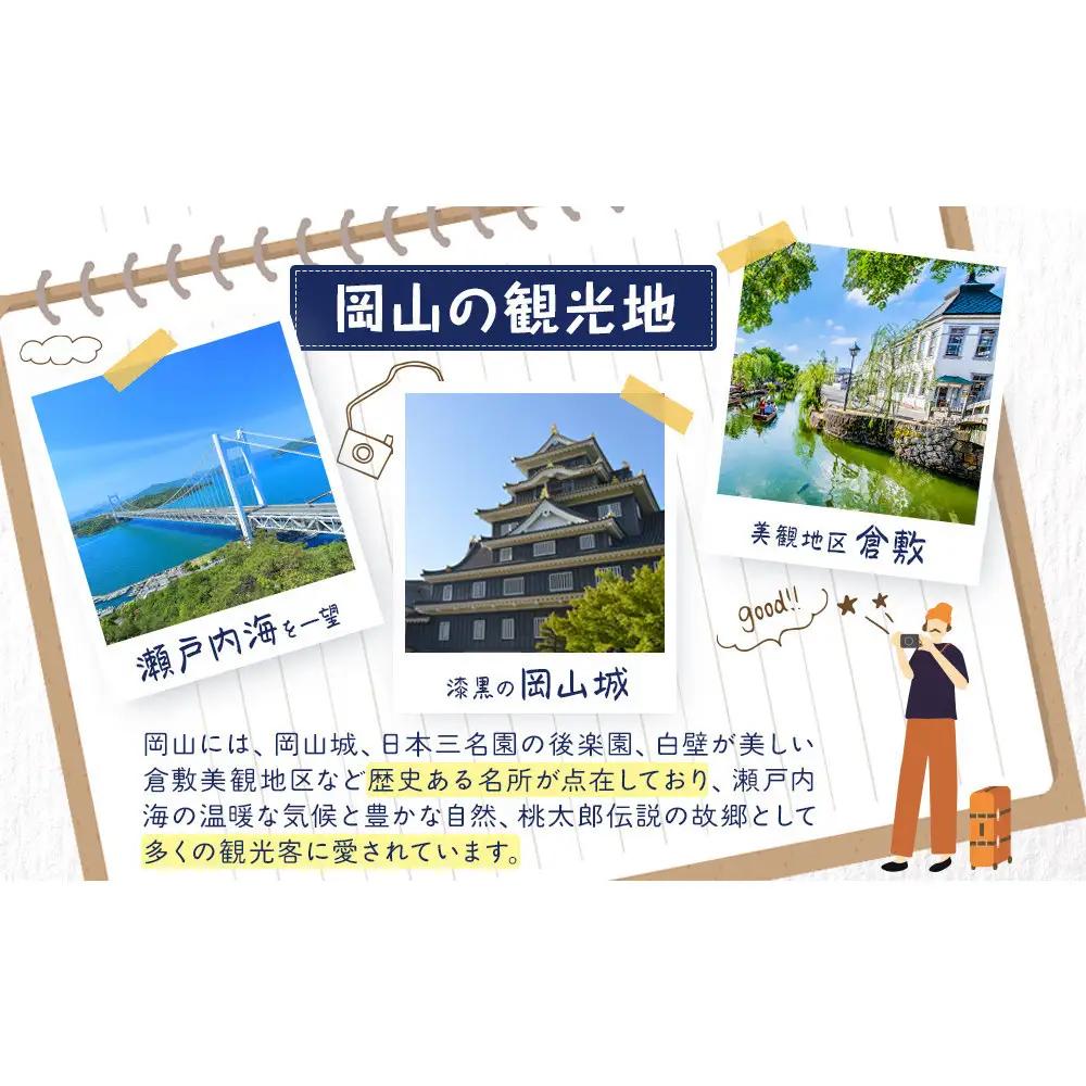 岡山みにたると (15個入)　