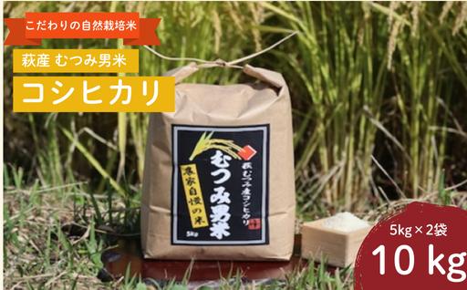自然栽培 むつみ男米 白米 10kg 自然栽培　白米 10kg