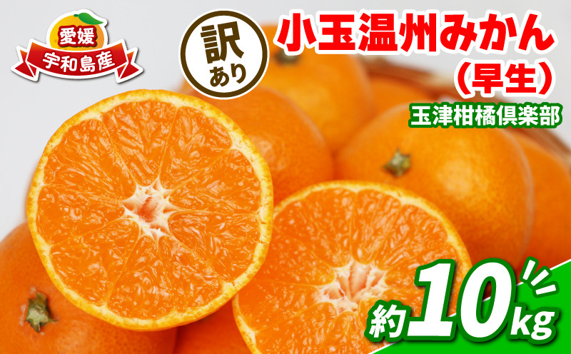
                  みかん 訳あり 小玉 温州みかん 早生 10kg 玉津柑橘倶楽部 先行予約 早生温州 温州 みかん 早生みかん 小玉みかん 甘い 果物 くだもの フルーツ 柑橘 mikan 蜜柑 愛媛蜜柑 愛媛みかん わけあり サイズ 不揃い 産地直送 数量限定 国産 愛媛 宇和島 B010-072030
                
