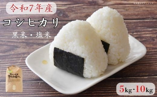 
                  《 令和7年産 》黒米・塩米（コシヒカリ）約5kg 約10kg ／ お米 米 精米 白米 コシヒカリ こしひかり 5kg 10kg 令和7年 千葉県
                
