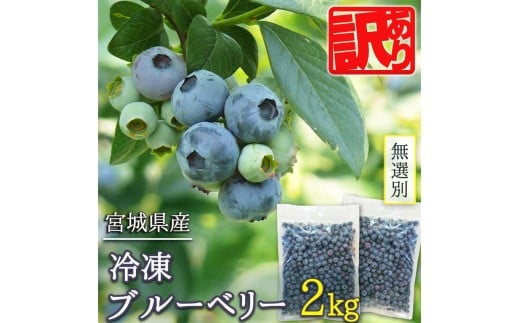 ≪ 訳あり≫ 無選別 冷凍ブルーベリー 2kg ブルーベリー 果物 フルーツ 朝食 ヨーグルト スムージー 健康 訳アリ【有限会社伊豆沼農産】tm439