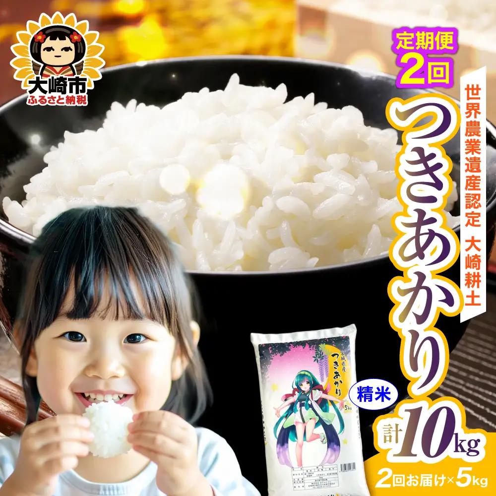 定期便《精米》令和7年 宮城県産 つきあかり 5kg×2回（計10kg） | ot006-ta-5kg-r704-t2