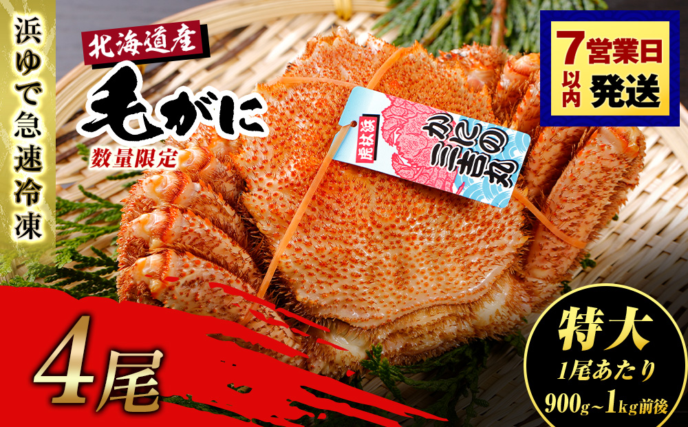 【特大】北海道産 冷凍ボイル毛ガニ (900g-1kg前後) 4尾  蟹 かに カニ 毛ガニ AS122