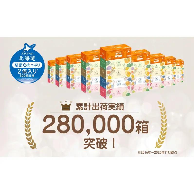 【2回お届け 計100箱】エリエール 北海道 ティシュー なまらたっぷり 300組5箱 10パック 大容量 まとめ買い 防災 常備品 備蓄品 消耗品 日用品 生活必需品 送料無料 赤平市 ストック 