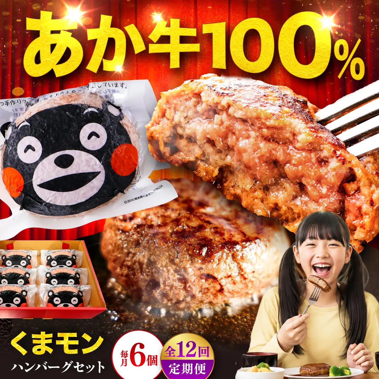 12回定期便 くまモン ハンバーグ セット（あか牛100％使用）BHAS059 ハンバーグ